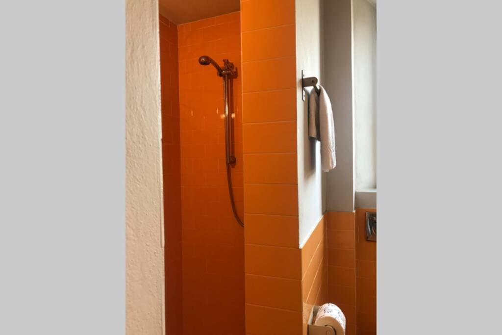 Sunny Top Floor In San Frediano Firenze Bagian luar foto
